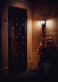 View of potted plants at home