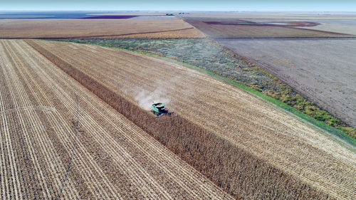 High angle view of agricultural field