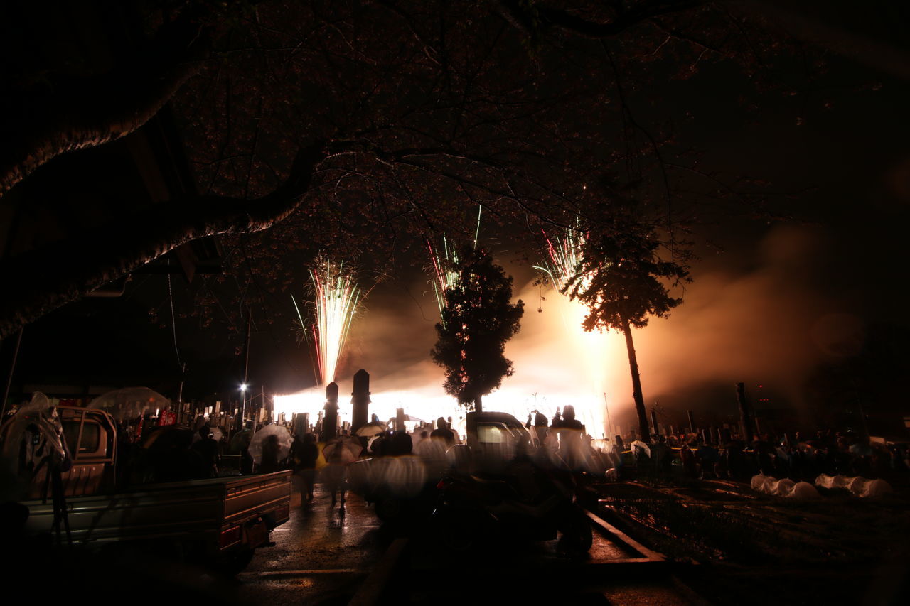 SILHOUETTE PEOPLE ON ILLUMINATED TREE AT NIGHT