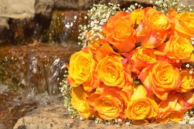 Close-up of yellow rose bouquet