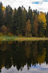 Reflection of trees in lake