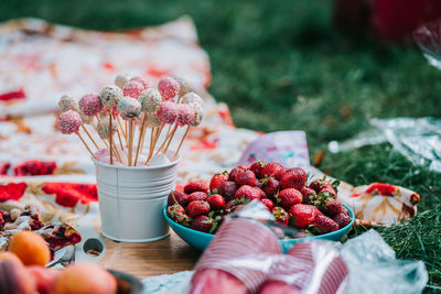 Close-up of red berries and lollipop on picnic blanket, sweets and edible goodies for dessert