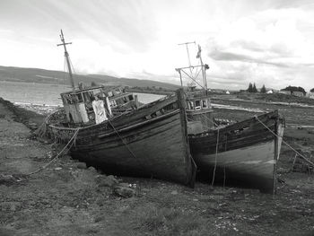 View of tree against sky