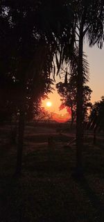 Silhouette trees on field against sky during sunset