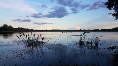 Scenic view of lake against sky at sunset