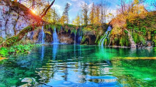 Scenic view of lake in forest against sky