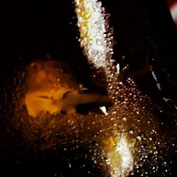 Close-up of illuminated lamp