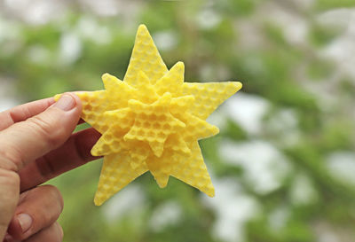 Close-up of hand holding yellow leaf