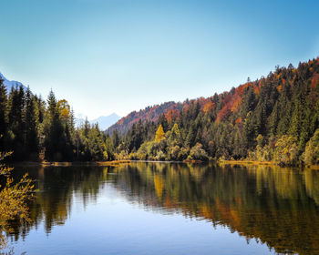 Scenic view of lake by trees against clear sky