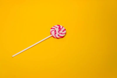 Close-up of pink flower against yellow background