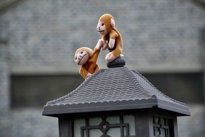 Full length of stuffed toy on building roof