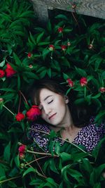 Portrait of young woman lying on plant