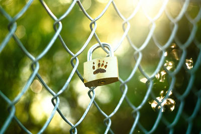 Close-up of padlocks on chainlink fence