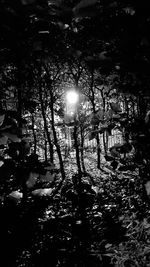 View of illuminated street lights at night