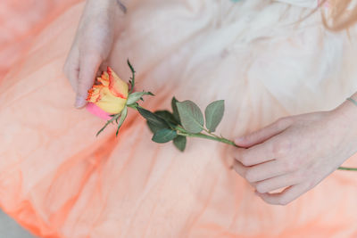 Cropped hand of woman holding flower