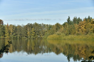 Scenic view of lake by trees against sky