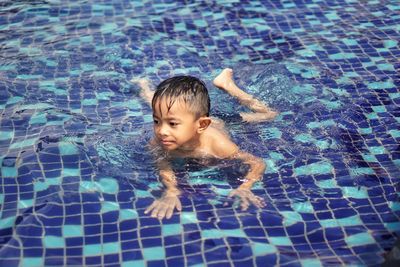 High angle view of shirtless boy swimming in pool