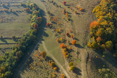 Aerial autumn countryside landscape. above view from a drone