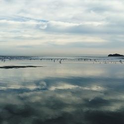 Scenic view of sea against sky