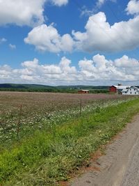 Scenic view of agricultural field against sky