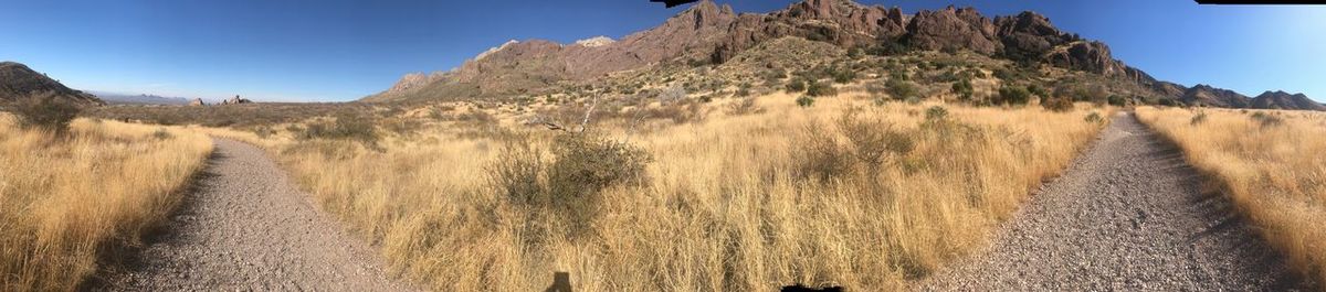 Panoramic view of field against clear sky