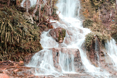 Scenic view of waterfall in forest