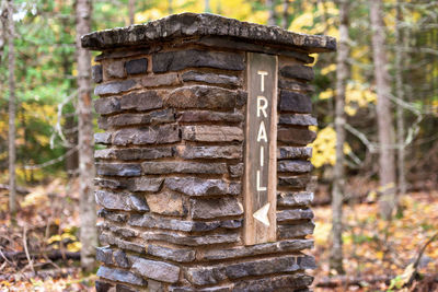 Close-up of stone stack on tree trunk in forest