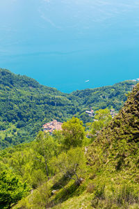 High angle view of trees on landscape against blue sky