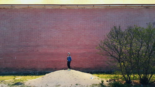 Rear view of a man standing on tree