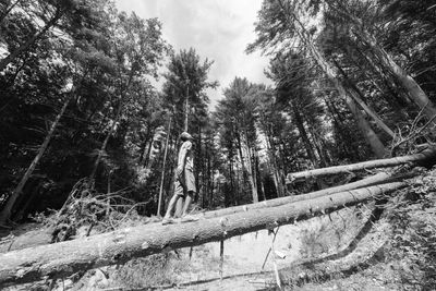 Man standing by trees in forest