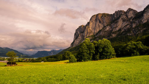 Scenic view of field against sky