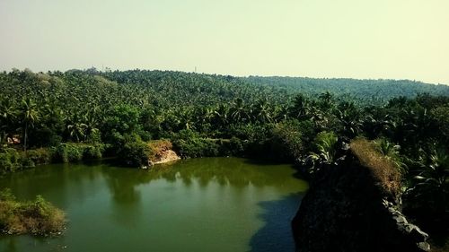 Scenic view of agricultural landscape against clear sky