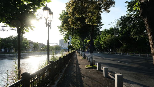 Street amidst trees in city against sky