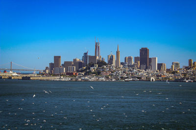 San fransisco bay view