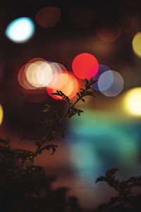 Close-up of illuminated blurred lights at night