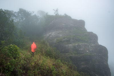 Rear view of man walking on mountain