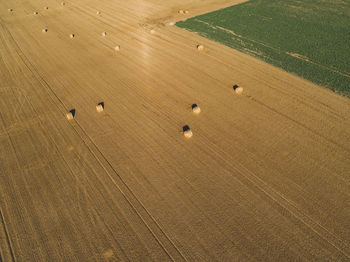 High angle aerial shot of hay bales on agricultural field