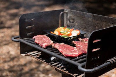 Meat and vegetables on barbeque grill in park