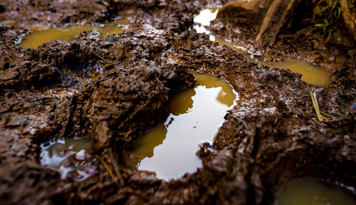 Reflection of rocks in water