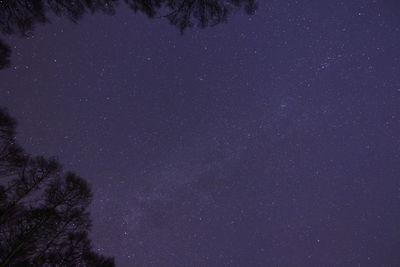 Low angle view of starry sky