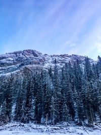 Snow covered landscape against sky