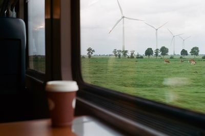 Windmills on field seen through train window