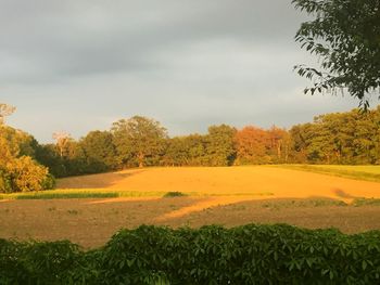 Scenic view of landscape against sky