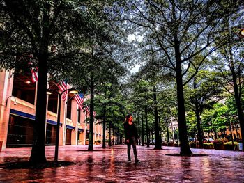 Rear view of man standing by trees
