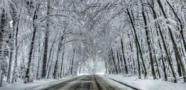 Road amidst trees in forest during winter