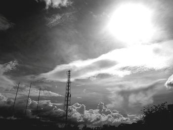 Low angle view of trees against sky