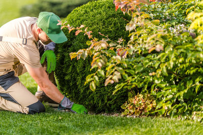 Gardener landscaping at lawn