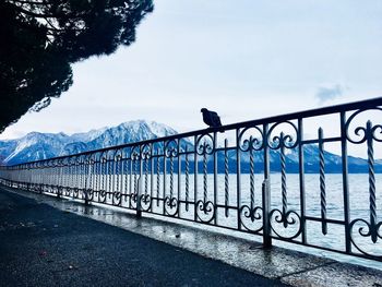 Bridge by railing against sky