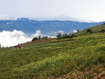 Scenic view of landscape against sky