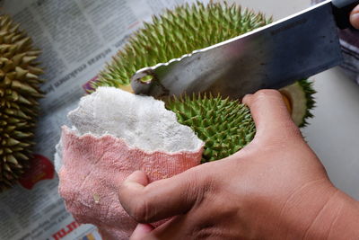 Close-up of person holding ice cream